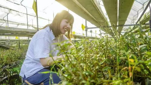 她讓農(nóng)業(yè)變酷了 女海歸的“無(wú)土種菜”技術(shù)與農(nóng)業(yè)未來(lái)