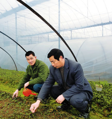 田壟間的堅(jiān)守者 汪田有深耕農(nóng)技十六載，鋪就農(nóng)民致富路