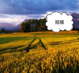 科技賦能農(nóng)業(yè)，智慧引領(lǐng)電商——為農(nóng)產(chǎn)品電商領(lǐng)域中的農(nóng)業(yè)技術(shù)研究者點(diǎn)贊