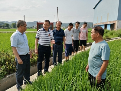 我區(qū)啟動全國五星鄉(xiāng)鎮(zhèn)農技推廣機構復核工作，深化農業(yè)技術研究與應用